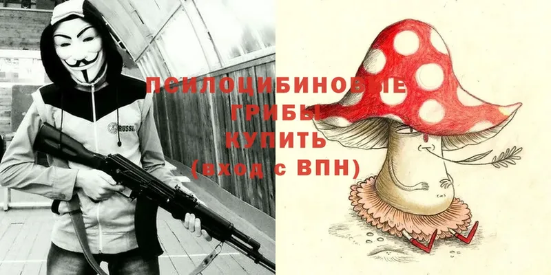 Галлюциногенные грибы MAGIC MUSHROOMS  Майский 